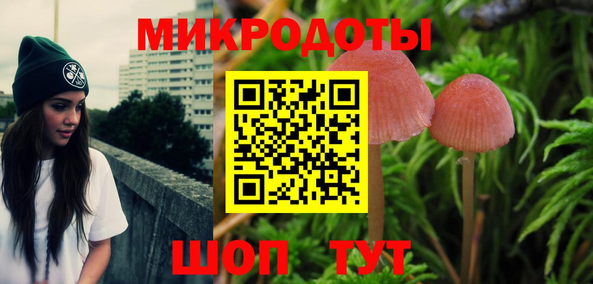 где купить наркоту  Вход с VPN  Галлюциногенные грибы Psilocybe  Черкесск  Галлюциногенные грибы Magic Shrooms 